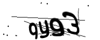 captcha_img