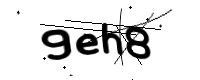 captcha_img