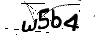 captcha_img